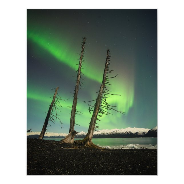 Impression Photo Aurora d'épinette oubliée (Devant)