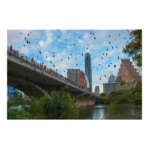 Impression Photo Austin, Texas Bats