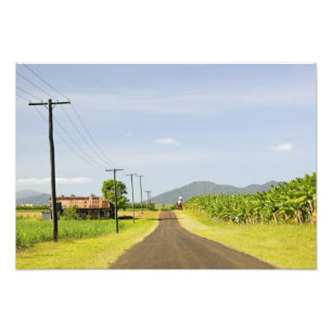 Impression Photo Australie, Queensland, côte nord, Babinda.