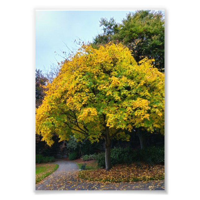 Impression Photo Automne (Devant)