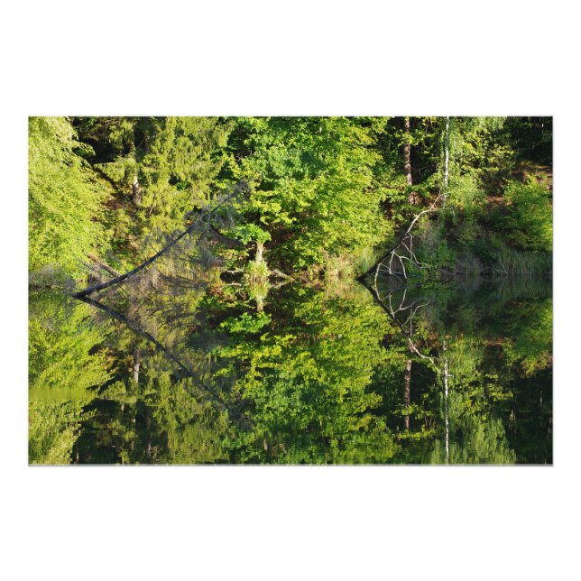 Impression Photo Automne (Devant)