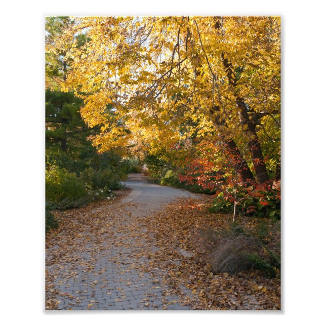 Impression Photo Automne au Jardin Botanique à Madison (Devant)