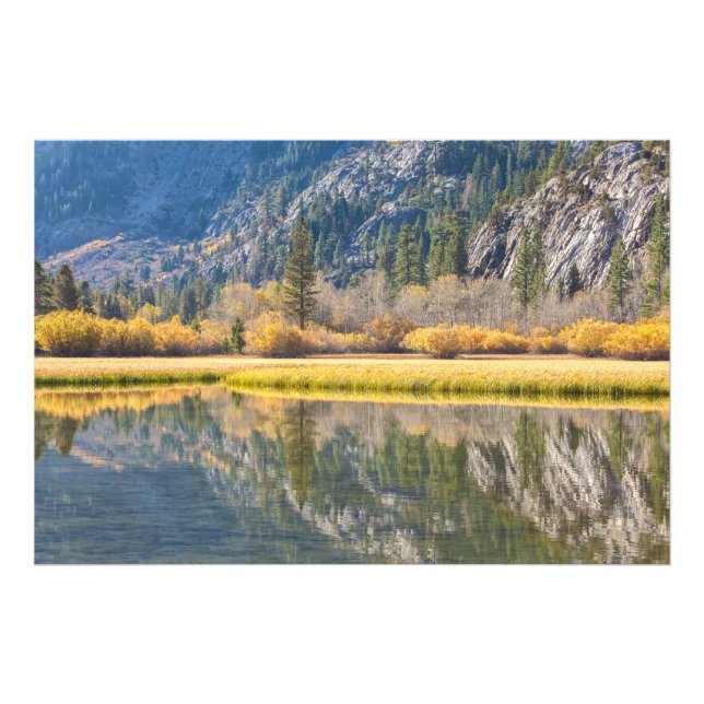 Impression Photo Automne au lac (Devant)