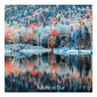 Impression Photo Automne en bleu