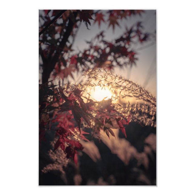Impression Photo Autumn Scenery in Japan　2023 (Devant)
