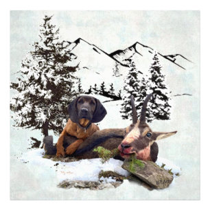 Impression Photo Aventure de chasse à la chèvre de montagne