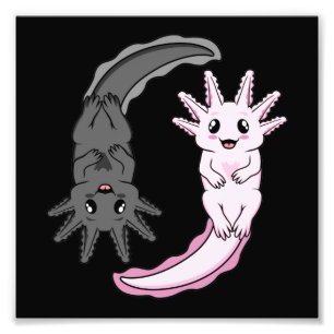 Impression Photo Axolotl Yin Yang Kawaii Animal Axolotls Lover Owne