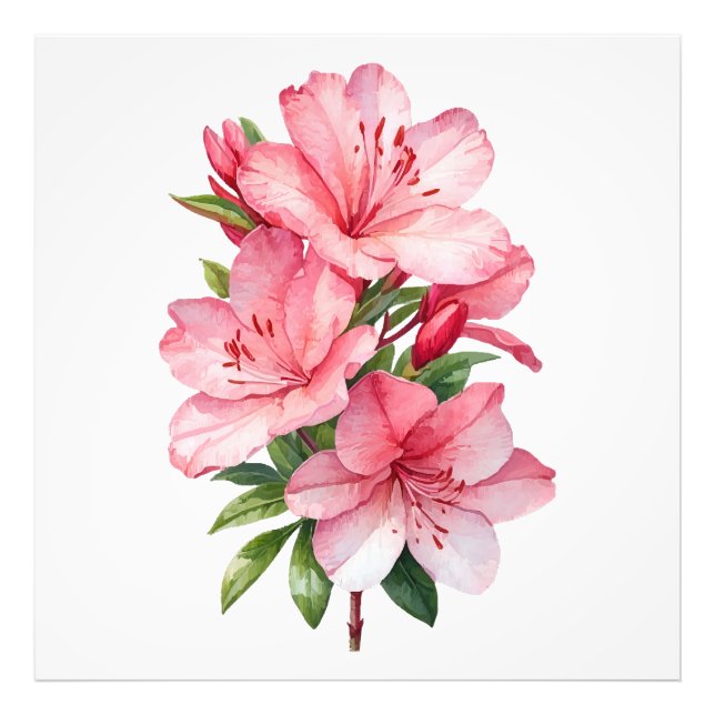 Impression Photo Azalea peinture aquarelle (Devant)