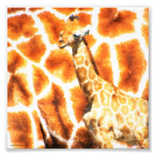Impression Photo Baby Giraffe