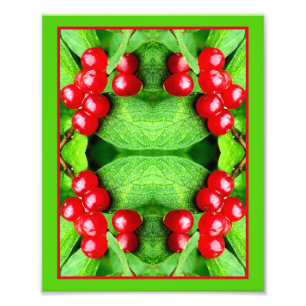 Impression Photo Baies rouges avec gouttes de pluie miroir nature A