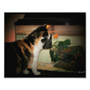 Impression Photo Baiser de bulle