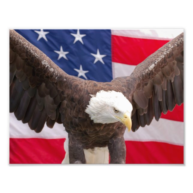 Impression Photo Bald Eagle avec l'American Flag Puzzle (Devant)