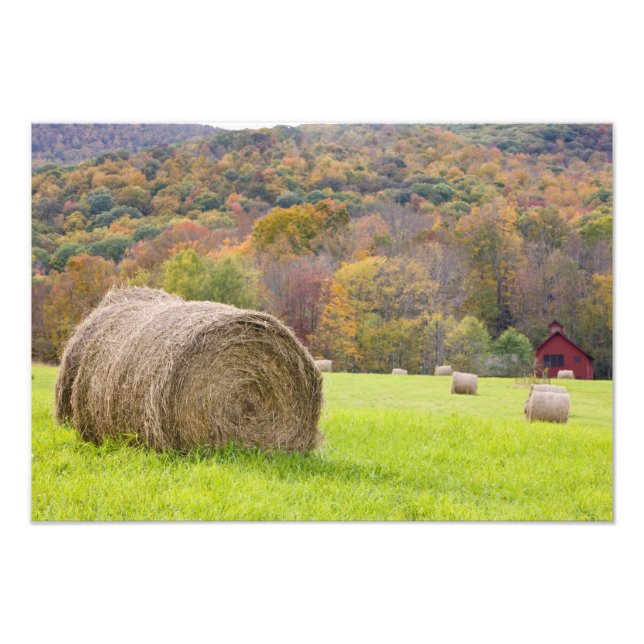 Impression Photo Balles de foin et feuillage d'automne à la ferme, (Devant)