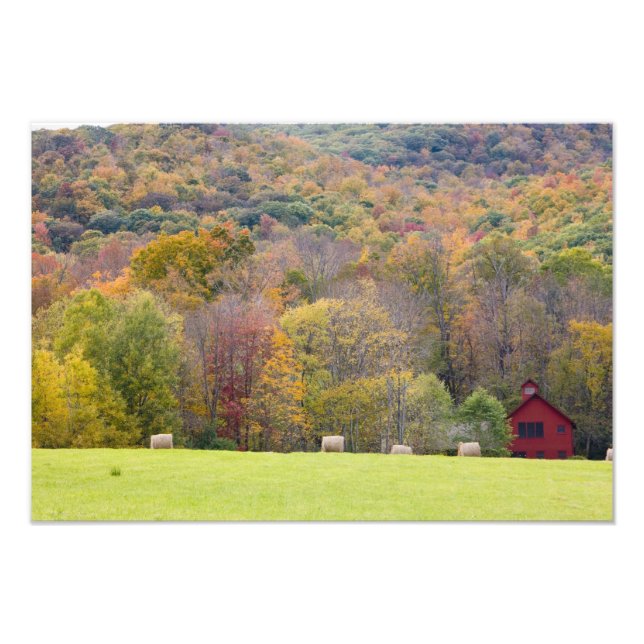 Impression Photo Balles de foin et feuillage d'automne, dans une fe (Devant)