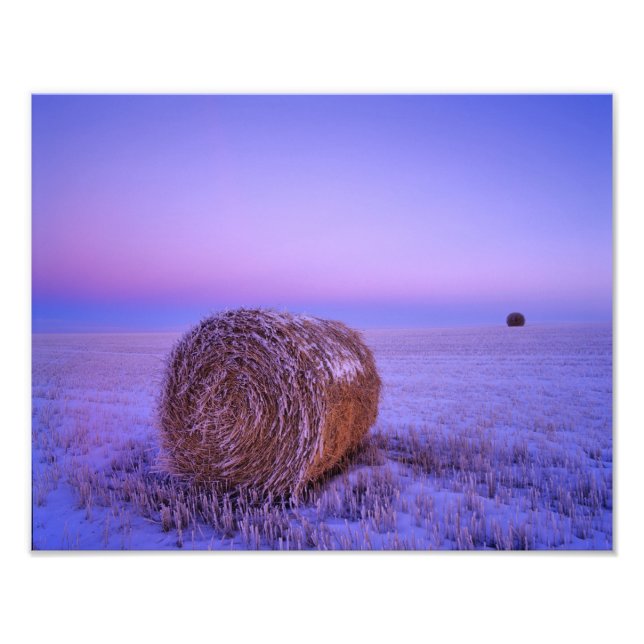 Impression Photo Balles de paille d'hiver près de Cartwright Nord (Devant)