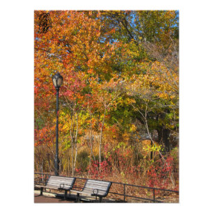 Impression Photo Banc de parc et feuilles d'automne
