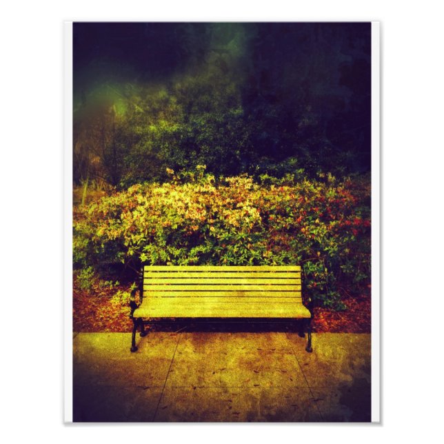 Impression Photo Banc Forsyth Park (Devant)