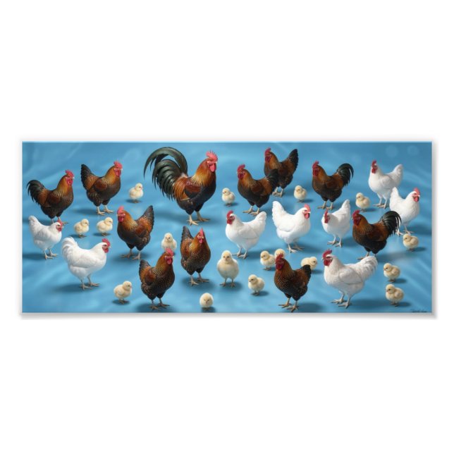 Impression Photo Bande de poussins et de coquelets (Devant)