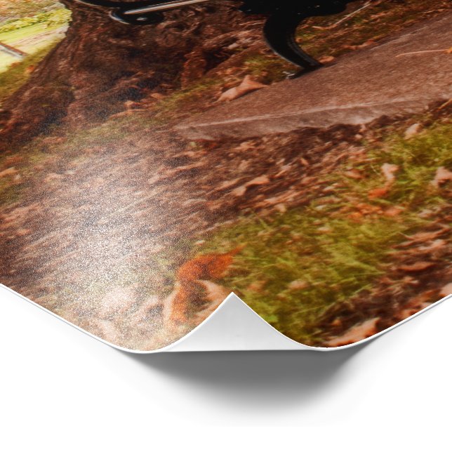 Impression Photo Banquettes du parc Riverside (Coin)