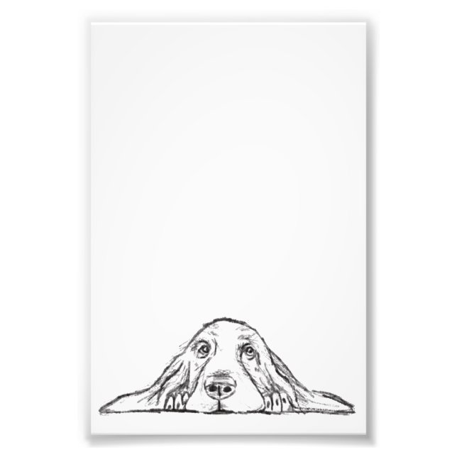Impression Photo basset hound noir blanc yeux de chiot simple (Devant)