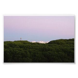 Impression Photo Bâtiments blancs dépassant des pins Portugal