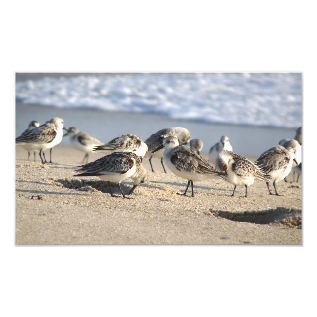 Impression Photo Beach Party. Sebastian Inlet. (Devant)