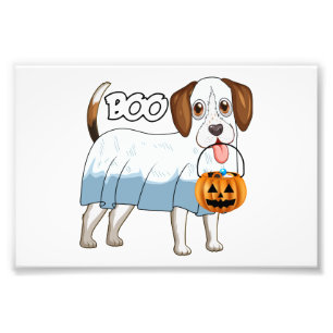 Impression Photo Beagle fantôme de Halloween Chien