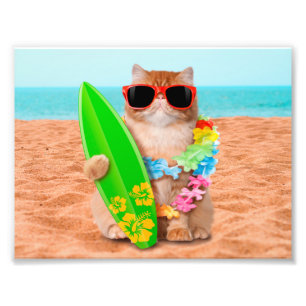 Impression Photo Beau chat surfeur sur la plage