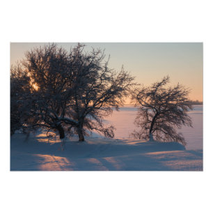 Impression Photo Beau coucher de soleil d'hiver rose en Finlande CC