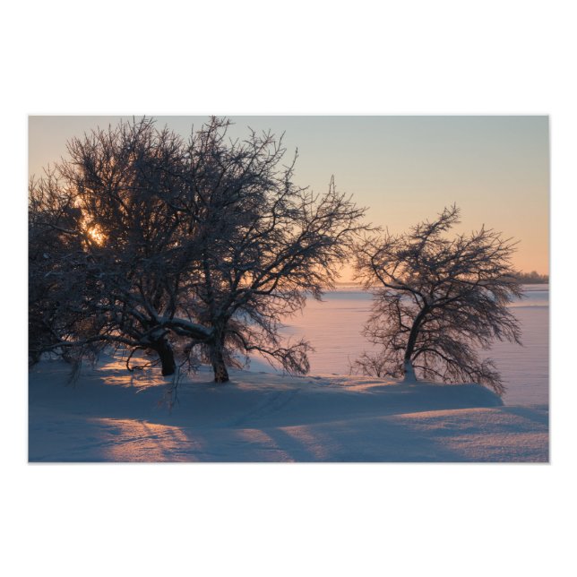 Impression Photo Beau coucher de soleil d'hiver rose en Finlande CC (Devant)