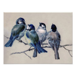 Impression Photo Beau Dusty Blue Grey Birds sur une branche