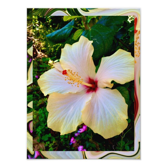 Impression Photo Beauté Hibiscus (Devant)