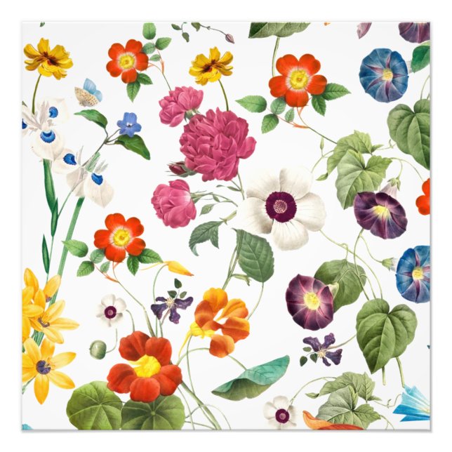 Impression Photo Beautiful Watercolor Botanical (Devant)