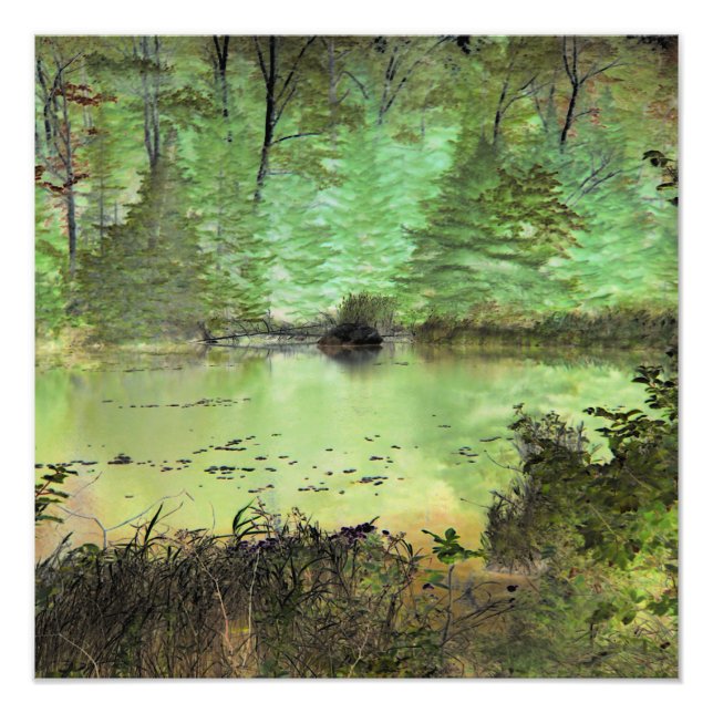 Impression Photo Beaver Lodge II : Digitally Transformed Forest Pon (Devant)