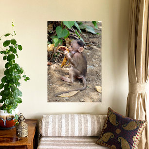 Impression Photo Bébé singe