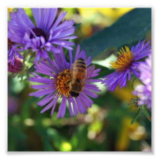 Impression Photo Bee-u-t-ful