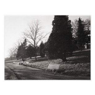 Impression Photo Bell Vue Park, Newport, lun (déc. 1977)