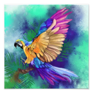 Impression Photo Belle Affiche de Perroquet aux Couleurs Magnifique