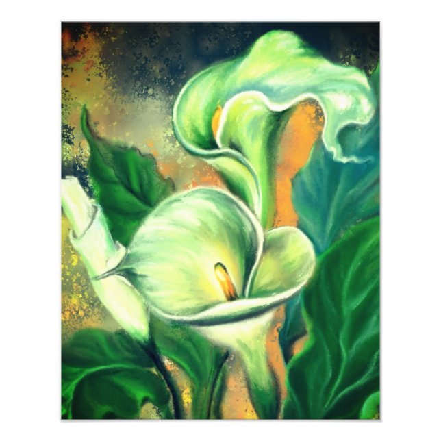 Impression Photo Belle Calla Lily Flower - Dessiné par Migned (Devant)