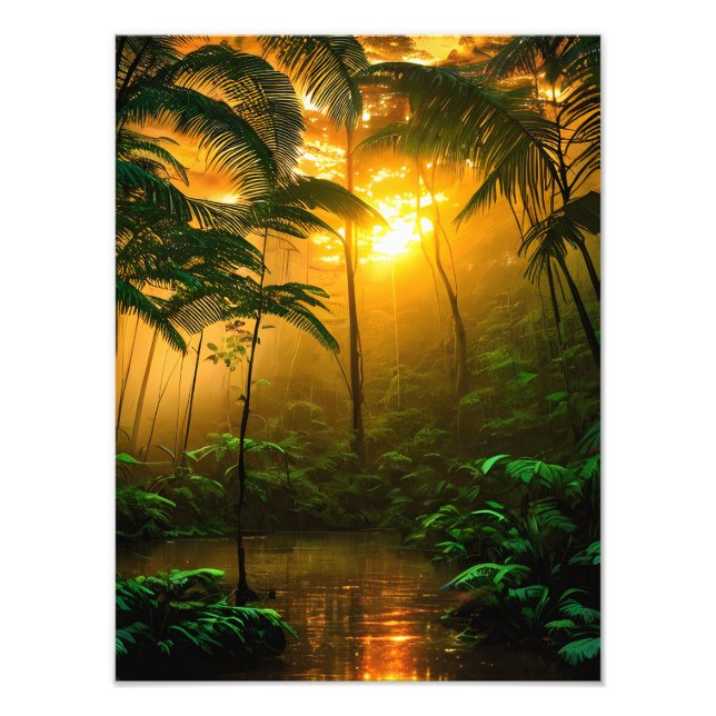 Impression Photo Belle forêt tropicale avec coucher de soleil (Devant)