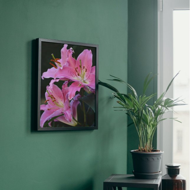 Impression Photo Belle Lys Rose Fleurit (In Situ Framed)