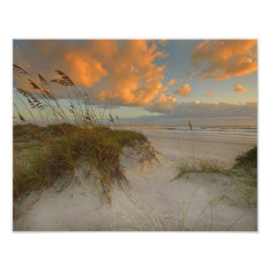 Impression Photo Belles dunes de sable à Daytona Beach, FL