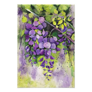 Impression Photo Belles Fleurs De Wisteria En Aquarelle