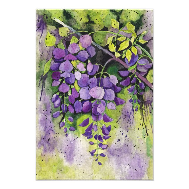 Impression Photo Belles Fleurs De Wisteria En Aquarelle (Devant)