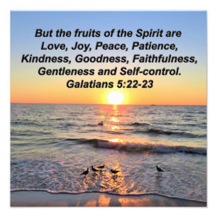 IMPRESSION PHOTO BELLES GALATIENNES 5 SOLEIL