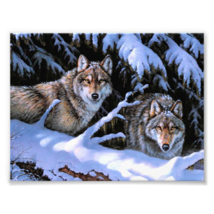 Impression Photo Belles Peintures Deux Loups