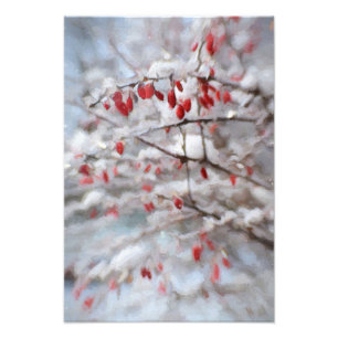 Impression Photo Berry rouge Bush en peinture hivernale