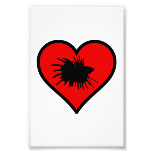 Impression Photo Betta Heart Love Poisson Silhouette