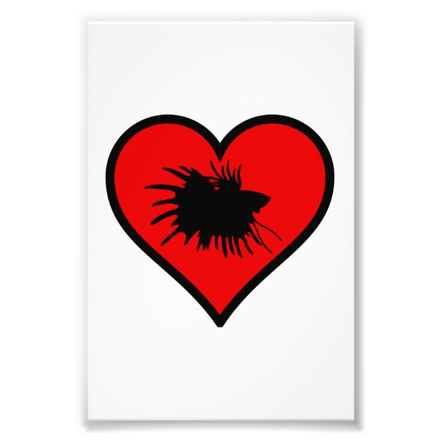 Impression Photo Betta Heart Love Poisson Silhouette (Devant)