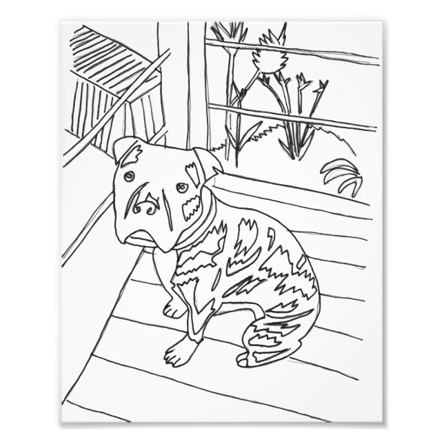 Impression Photo Bev the Pup Print (Devant)